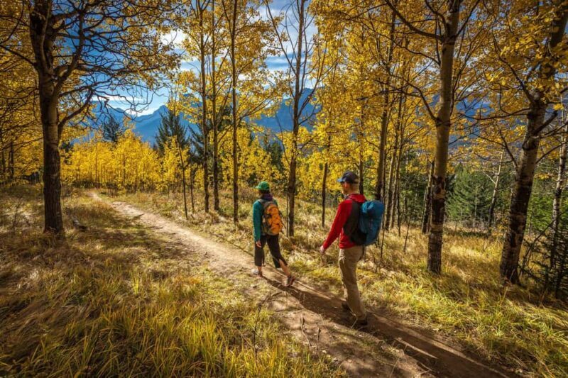 Canmore: Medicinal and Edible Plants, 2-hour Nature Walk - Final Thoughts: Is It Worth It?