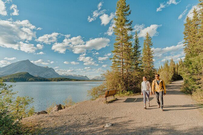 Canmore Medicinal and Edible Plants Nature Walk - 2 Hours - Discovering Canmore’s Natural Wealth: An In-Depth Review