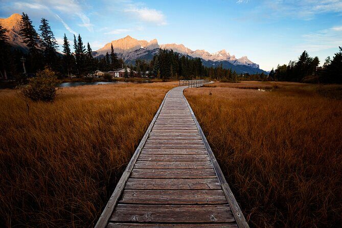 Canmore Medicinal and Edible Plants Nature Walk - 2 Hours - FAQ