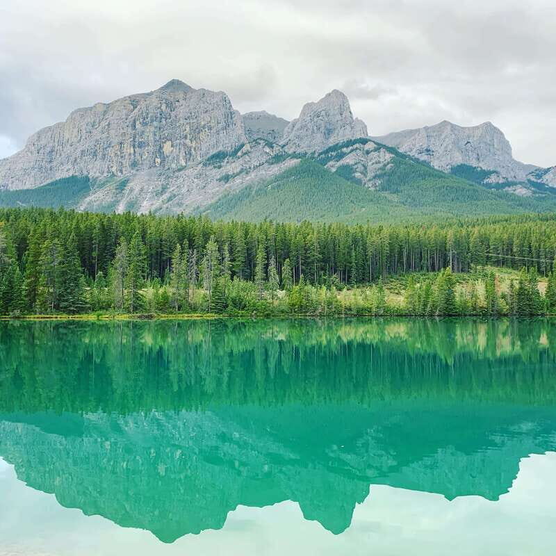 Canmore: PRIVATE SAFARI Drive to BANFF Park & Nature Walk - The Value of This Experience