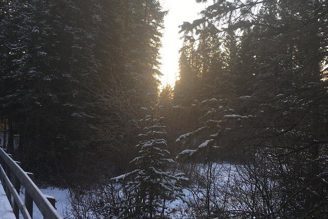Canmore: Stargazing and Nature by Nightfall Walking Tour - 2hr - The Value of the Experience