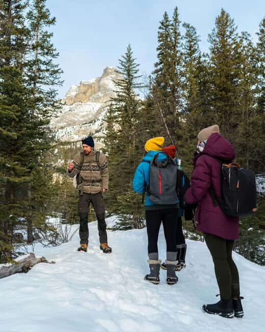 Canmore: Stargazing and Night Adventure - Who Should Consider This Tour?