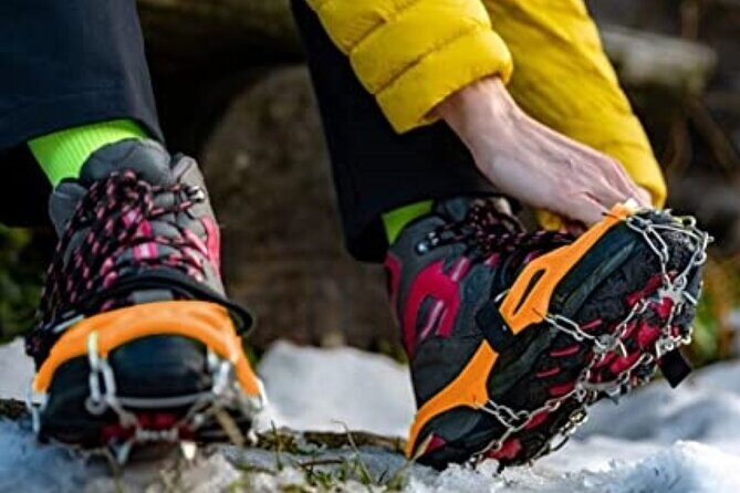 Canmore: Wilderness & Wildlife Tour - 2hr Walk - Who Will Love This Tour?