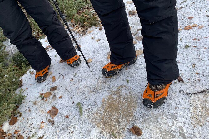 Canmore: Wilderness & Wildlife Tour - 2hr Walk - Final Thoughts