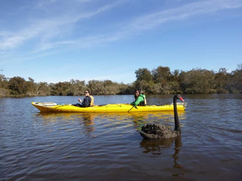 Canning River Half-Day Kayak Wildlife Tour - What Makes the Canning River Kayak Tour Special?