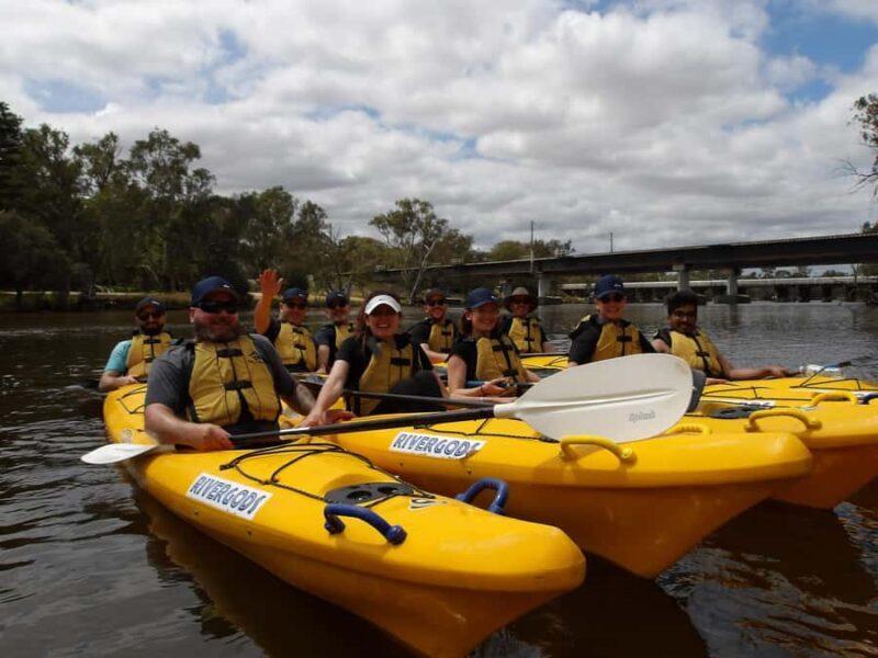 Canning River Half-Day Kayak Wildlife Tour - The Value of This Experience