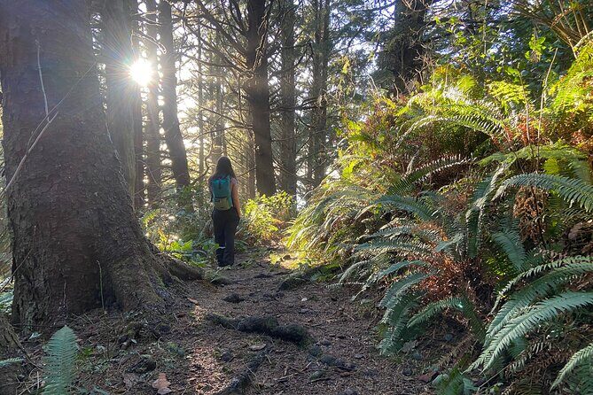 Cannon Beach Hiking Tour on the Oregon Coast - Key Points