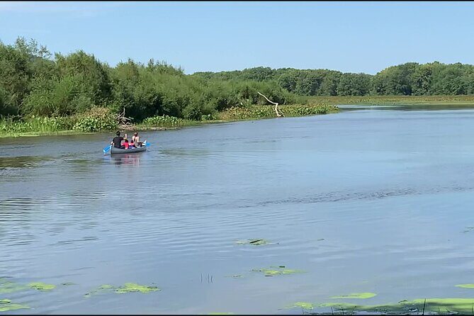 Canoe/Kayak Day Tour of Mississippi Wildlife & Fish Refuge - Who Should Consider This Tour