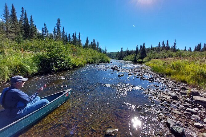 Canoe National Forest Lakes (Lutsen/Grand Marais) - The Value of This Experience