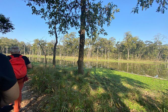 Canoeing and Nature walk in Chitwan National Park - Key Points
