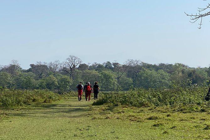 Canoeing and Nature Walk in Chitwan National Park - An Honest Look at the Itinerary