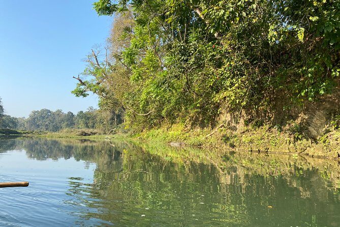 Canoeing and Nature Walk in Chitwan National Park - Describing the Scenic and Wildlife Experience