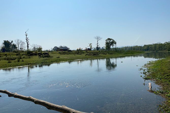 Canoeing and Nature Walk in Chitwan National Park - The Sum Up