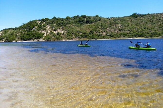 Canoeing in Sedgefield at Oysters Edge, Garden Route - What the Reviews Say