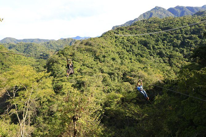 Canopy River Zipline Tour and Mule Ride - The Itinerary and Experience