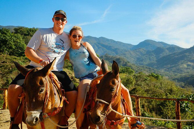 Canopy River Zipline Tour and Mule Ride - Who Will Love This Tour?
