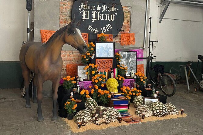Cantaritos and Tequila Factory Tour - Who Will Love This Tour?