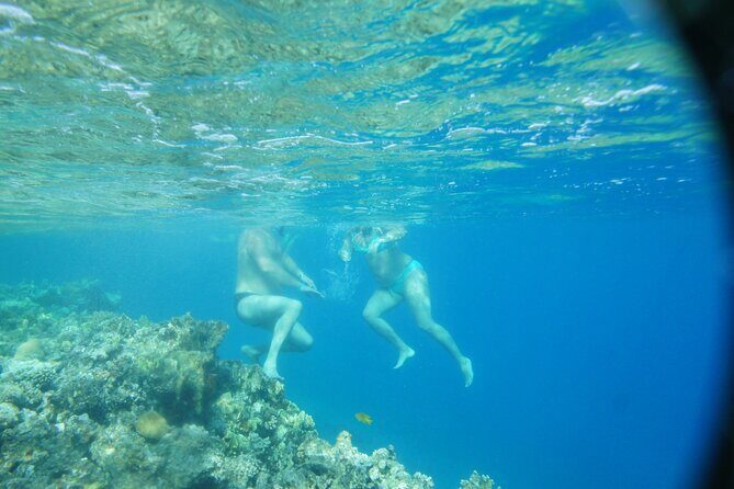 Canyon and Blue Hole Snorkeling Trip with Lunch from Dahab - Transportation and Group Size