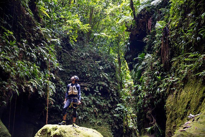 Canyon Experience in Dominica - What to Expect from the Canyon Experience