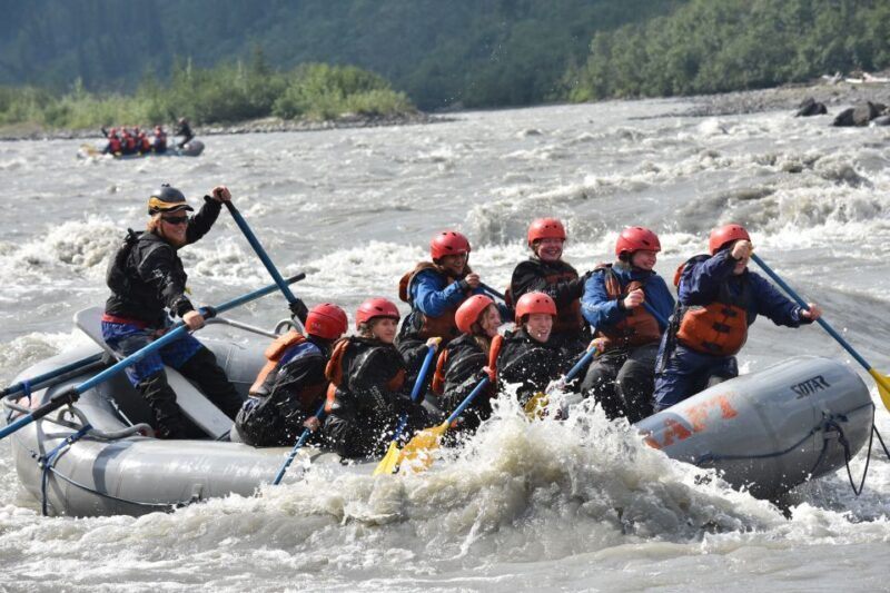 Canyon Run: Denali National Park Class IV Whitewater Rafting - Key Points