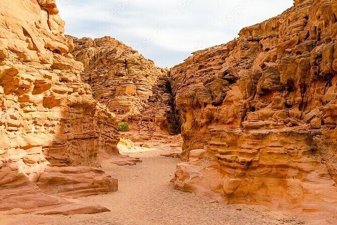 Canyon Salama Jeep, Snorkeling & Lunch - Sharm El-Sheikh - Snorkeling and Marine Life