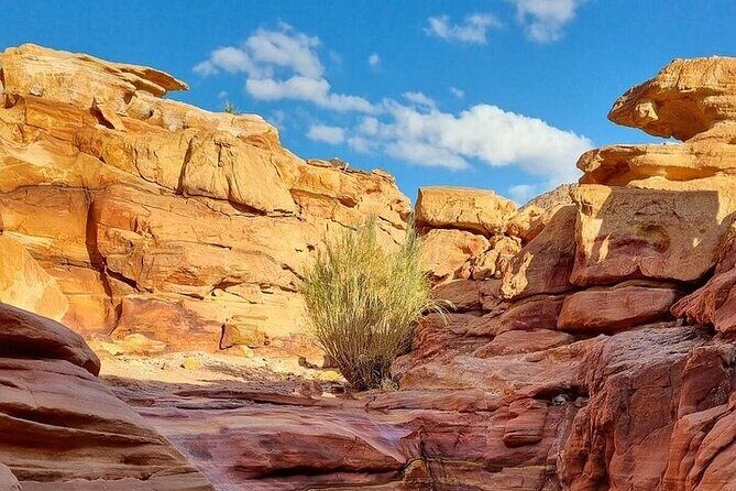 Canyon Salama Jeep, Snorkeling & Lunch - Sharm El-Sheikh - Practical Details and Considerations