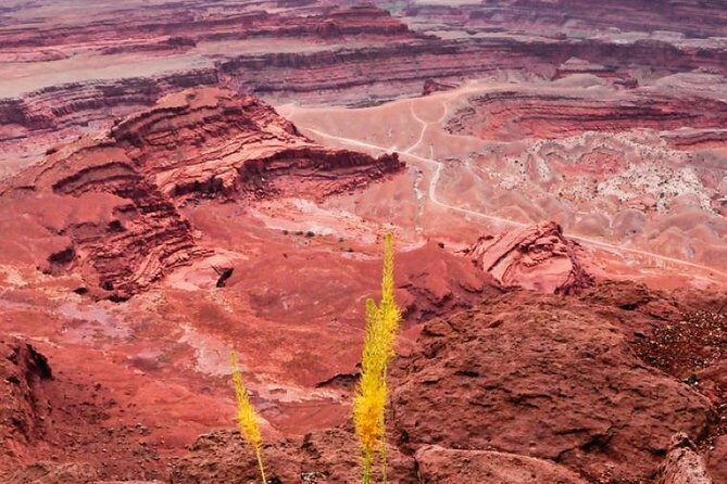 Canyonlands National Park Backcountry 4x4 Adventure from Moab - Final Thoughts