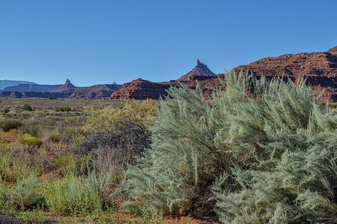 Canyonlands Needles District Self Guided Driving Audio Tour - Final Thoughts: Is It Worth It?