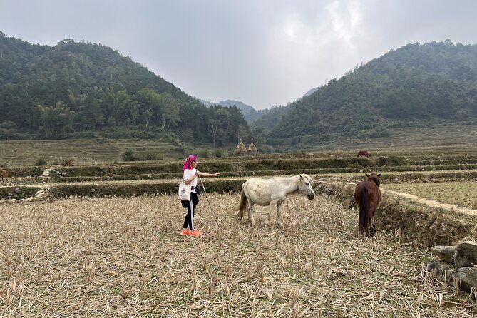 Cao Bang Easy Trekking Tours 2Days/1Night Ban Gioc Waterfall ET1 - In-Depth Review of the 2-Day Cao Bang Trekking Experience