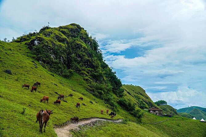 Cao Bang Loop 3 Days Easy Rider with The Loop Tours - The Natural Wonders