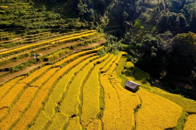 Cao Bang Loop Tour 3D2N by Motorbike, Car or Jeep - Day 1: Hanoi to Cao Bang and Pac Bo