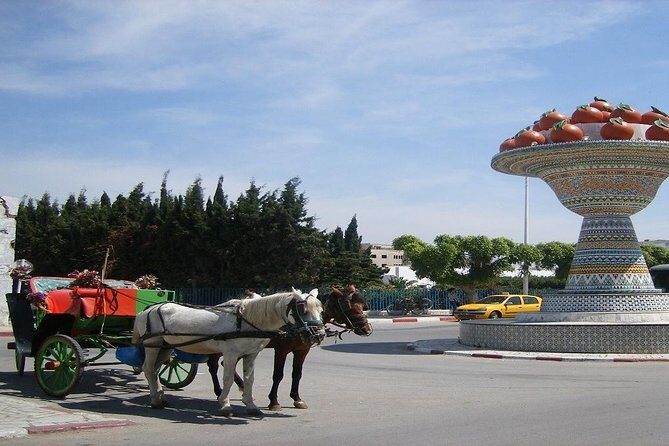Cap Bon Guided Day Tour from Tunis - What You Can Expect on This Full-Day Tour