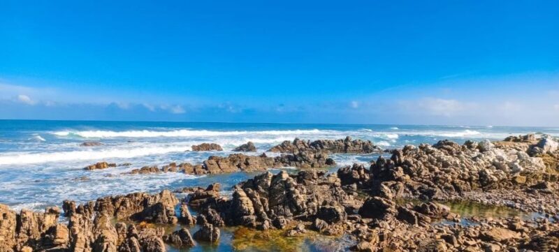 Cape Agulhas Full Day Private Tour - Final Thoughts