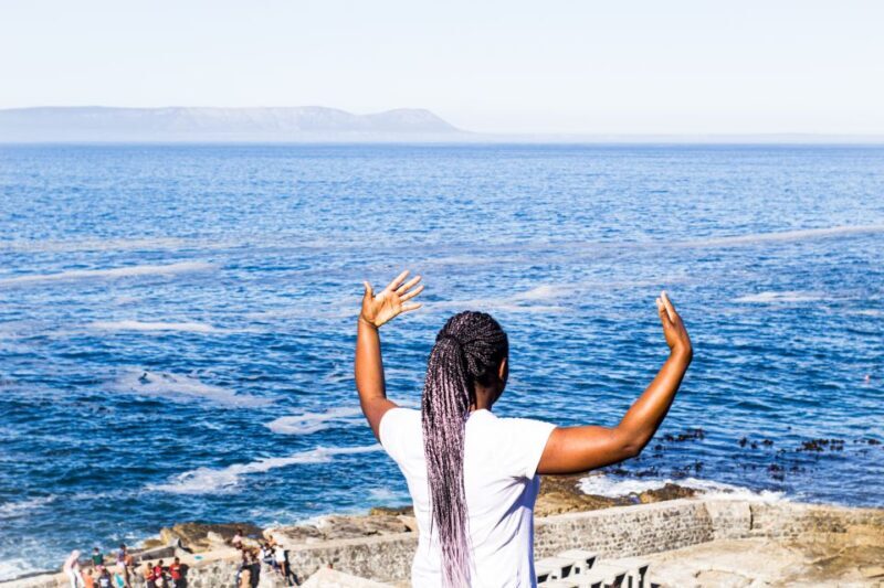 Cape Agulhas, Hermanus & Stoney point Penguins full Day Tour - Final Thoughts