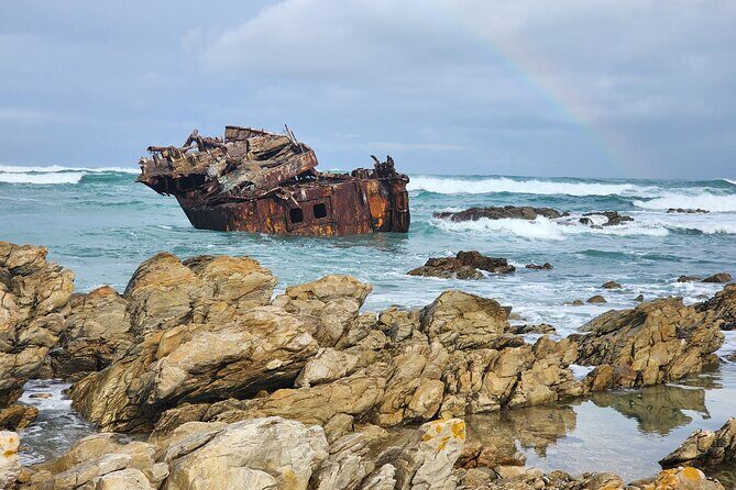 Cape Agulhas, Hermanus Whale Watching, Penguins and Wine Tasting - Who Would Love This Tour?