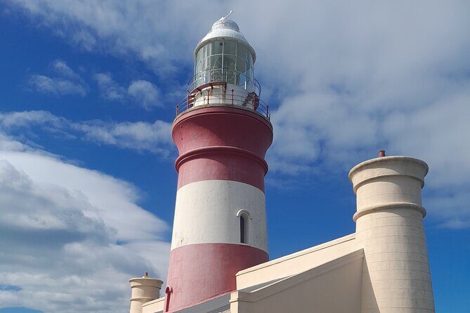 Cape Agulhas Southern Point of Africa Private Tour - The Full Experience: What to Expect on this Cape Agulhas Tour
