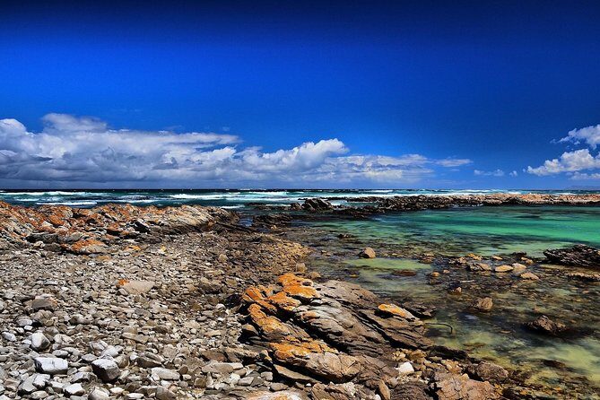 Cape Agulhas | Stony Point Nature Reserve - The Shipwreck Museum: Tales of the Sea