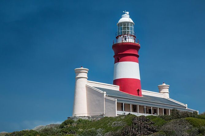 Cape Agulhas | Stony Point Nature Reserve - Relaxing at Struisbaai Beach