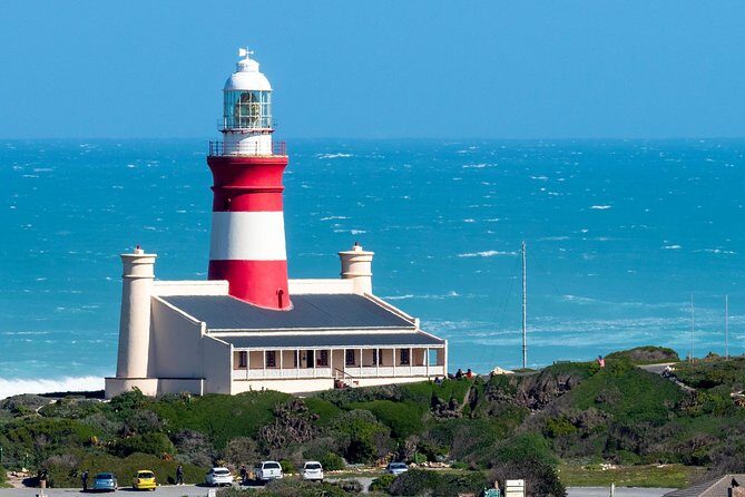 Cape Agulhas | Stony Point Nature Reserve - The Penguin Colony at Stony Point