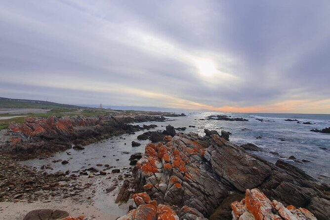 Cape Agulhas Tour - What Makes This Tour Stand Out?