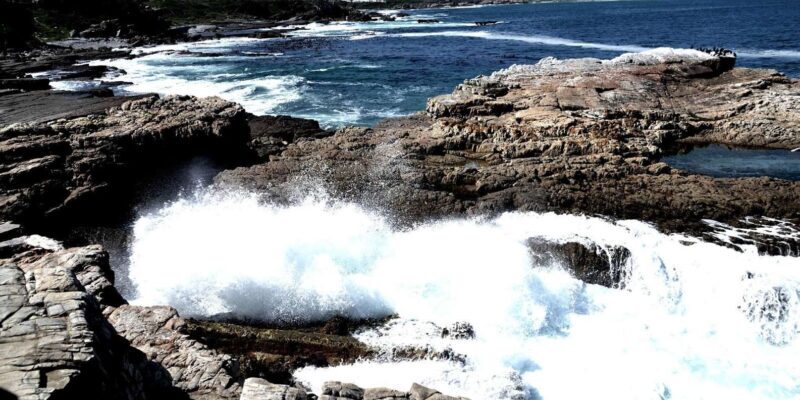 Cape Agulhas Tour from Cape Town - FAQ