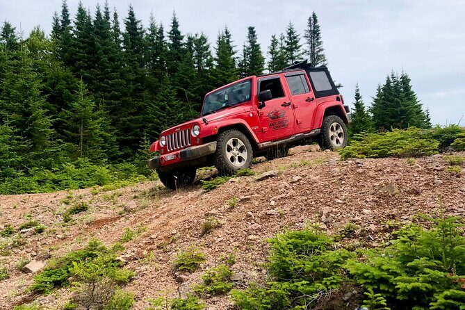 Cape Breton Jeep Adventure (4hr) - Who Will Love This Tour?