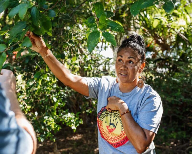 Cape Byron Aboriginal Tour - The Sum Up: Is It Worth It?