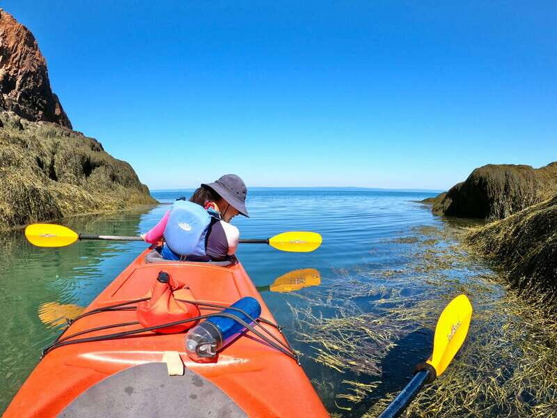 Cape Chignecto: Three Sisters Kayaking Day Tour - Booking, Cost, and Practicalities