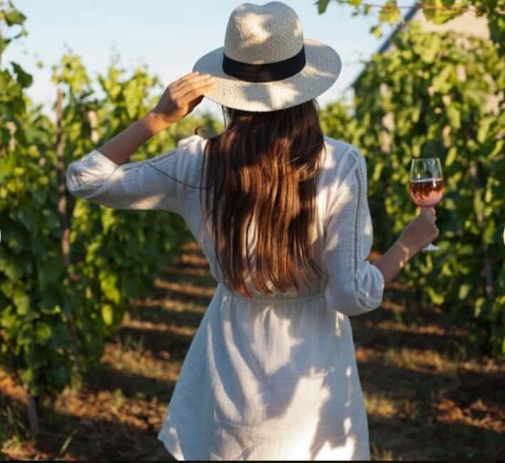 Cape City Tour and Award-Winning Constantia Wineries. - Key Points