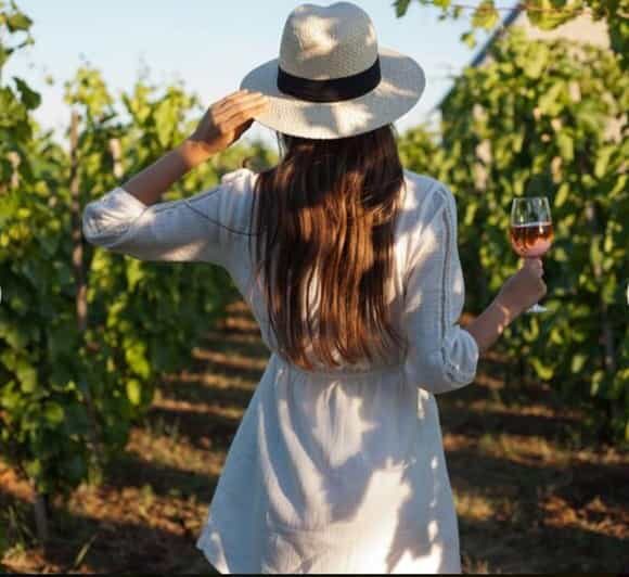 Cape City Tour and Award-Winning Constantia Wineries. - Final Thoughts