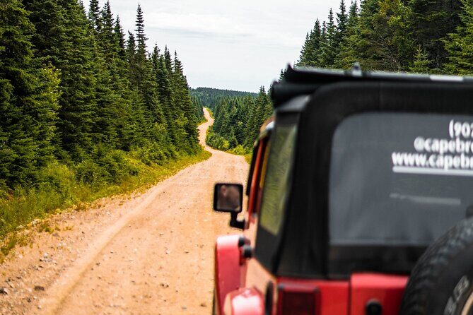 Cape Clear Look-off Express - Private Jeep Tour - Who Should Consider This Tour?