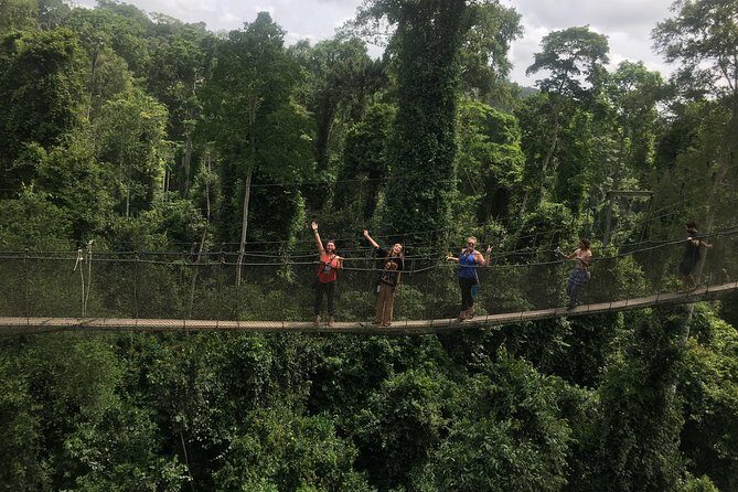 Cape Coast/Elmina Slave Dungeon and Canopy Walkway Private Tour - An In-Depth Look at the Tour Experience