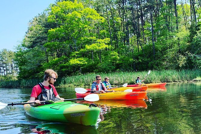 Cape Cod Explorer Tour - An Overview of the Tour