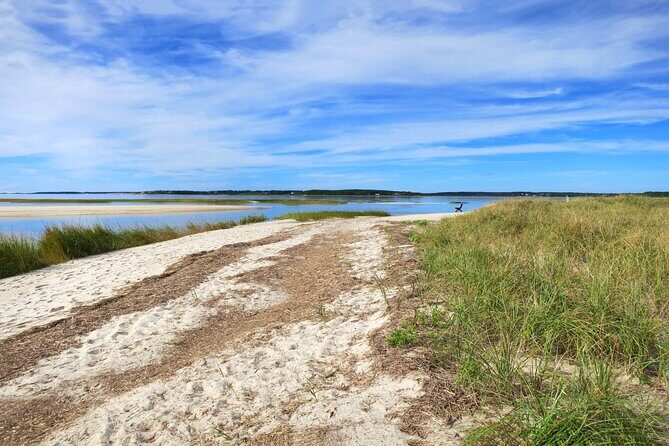 Cape Cod Self-Guided Driving Audio Tour - The Sum Up